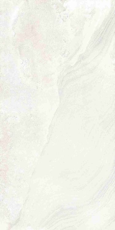 Petra Viva Bone Matte 24 x 48